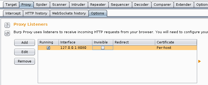 Invisible Proxy Mode